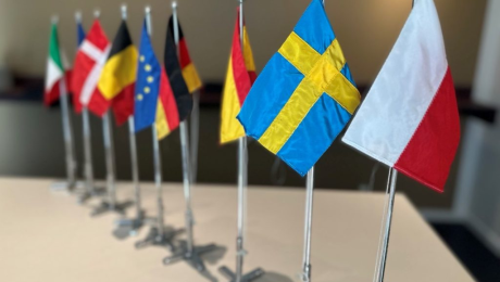 Rząd biurkowych flag państw europejskich z flagami Polski i Szwecji na czele.